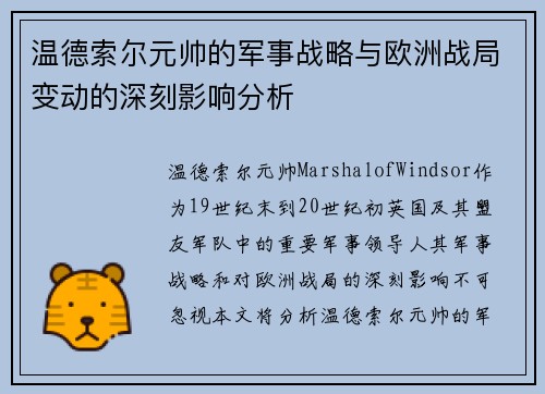 温德索尔元帅的军事战略与欧洲战局变动的深刻影响分析